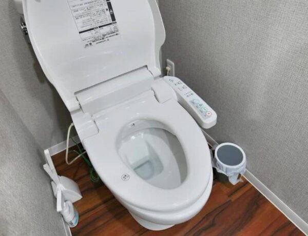 bienfaits d'installer les WC japonais